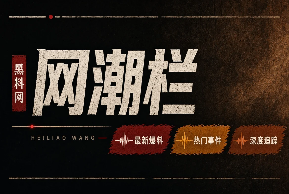 网浪栏网络文化视觉